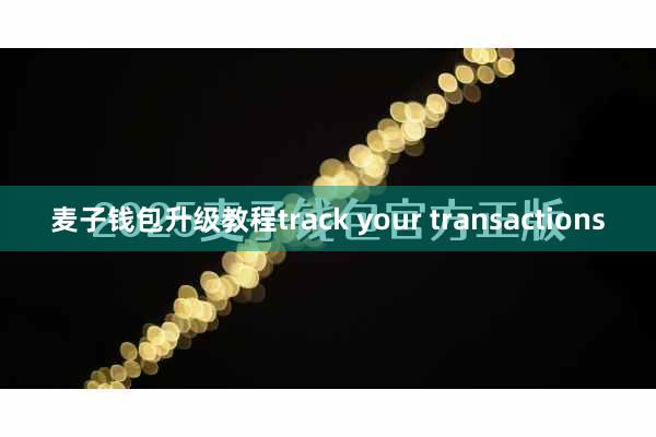 麦子钱包升级教程track your transactions