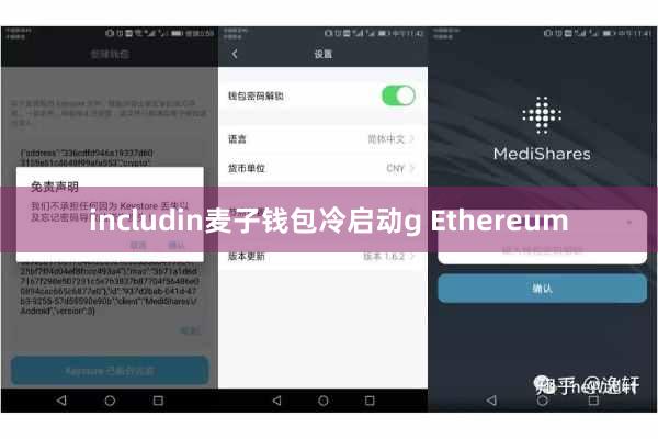 includin麦子钱包冷启动g Ethereum