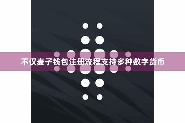 不仅麦子钱包注册流程支持多种数字货币