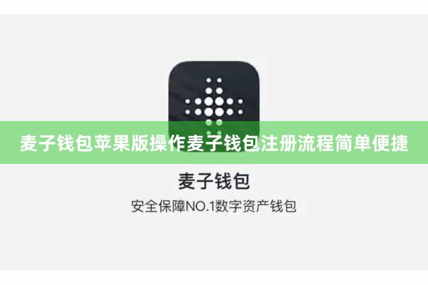 麦子钱包苹果版操作麦子钱包注册流程简单便捷