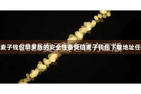 麦子钱包苹果版的安全性备受信麦子钱包下载地址任