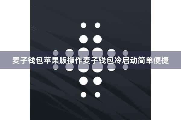 麦子钱包苹果版操作麦子钱包冷启动简单便捷