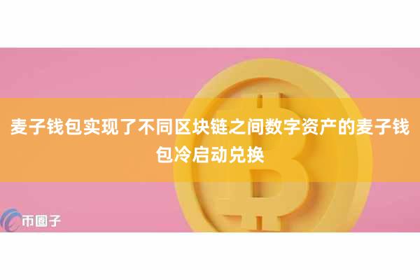 麦子钱包实现了不同区块链之间数字资产的麦子钱包冷启动兑换