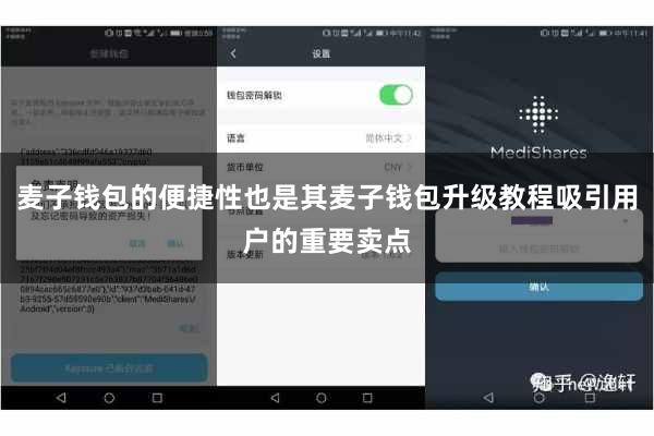 麦子钱包的便捷性也是其麦子钱包升级教程吸引用户的重要卖点