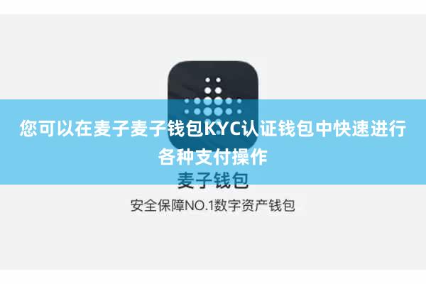 您可以在麦子麦子钱包KYC认证钱包中快速进行各种支付操作
