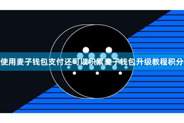 使用麦子钱包支付还可以积累麦子钱包升级教程积分