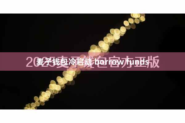 麦子钱包冷启动 borrow funds