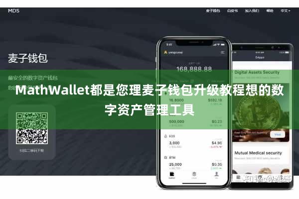 MathWallet都是您理麦子钱包升级教程想的数字资产管理工具