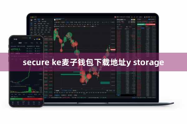secure ke麦子钱包下载地址y storage