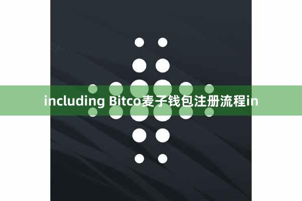 including Bitco麦子钱包注册流程in