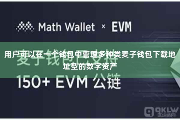 用户可以在一个钱包中管理多种类麦子钱包下载地址型的数字资产