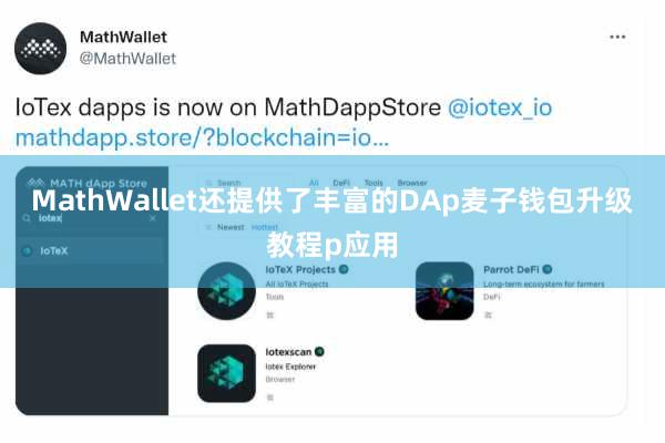 MathWallet还提供了丰富的DAp麦子钱包升级教程p应用