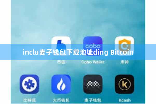 inclu麦子钱包下载地址ding Bitcoin