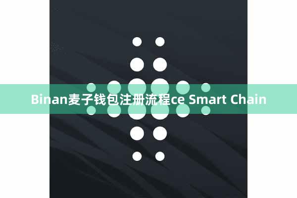 Binan麦子钱包注册流程ce Smart Chain