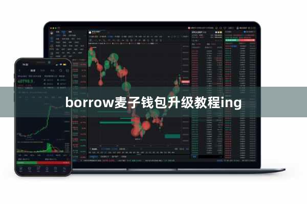 borrow麦子钱包升级教程ing