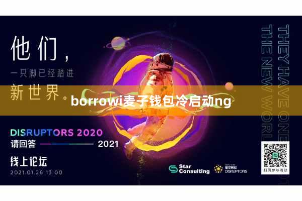 borrowi麦子钱包冷启动ng