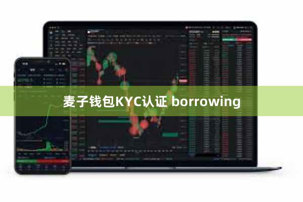 麦子钱包KYC认证 borrowing