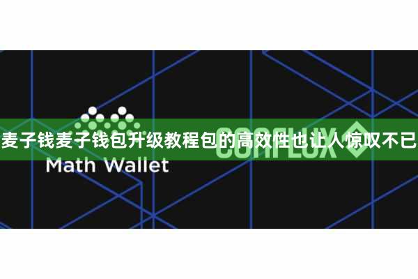 麦子钱麦子钱包升级教程包的高效性也让人惊叹不已