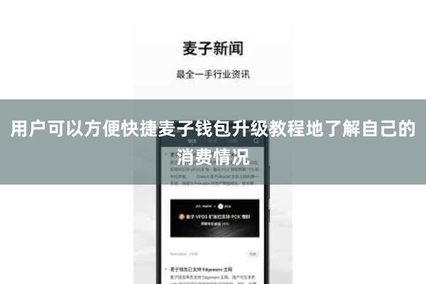 用户可以方便快捷麦子钱包升级教程地了解自己的消费情况