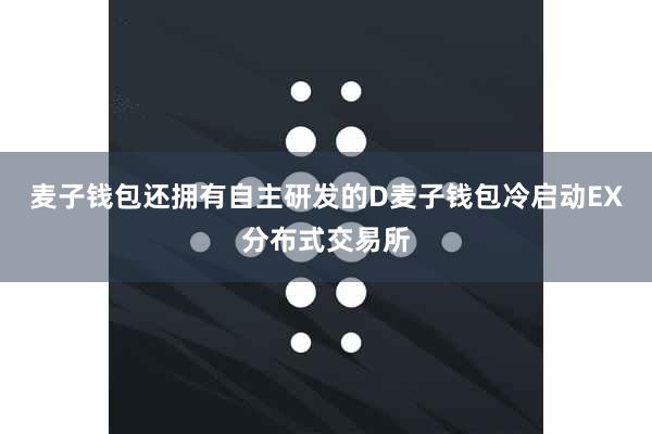 麦子钱包还拥有自主研发的D麦子钱包冷启动EX分布式交易所