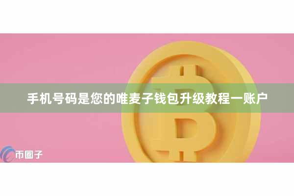手机号码是您的唯麦子钱包升级教程一账户