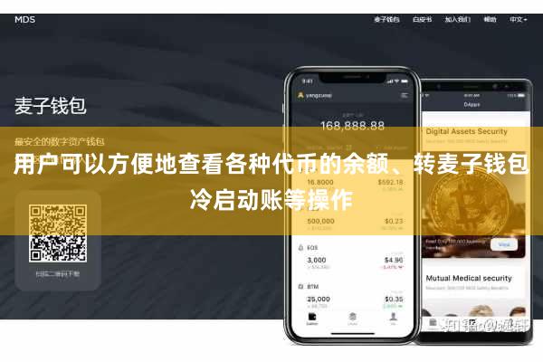 用户可以方便地查看各种代币的余额、转麦子钱包冷启动账等操作