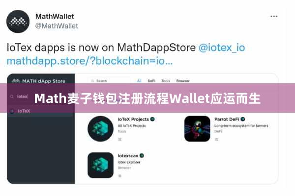 Math麦子钱包注册流程Wallet应运而生