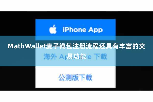 MathWallet麦子钱包注册流程还具有丰富的交易功能