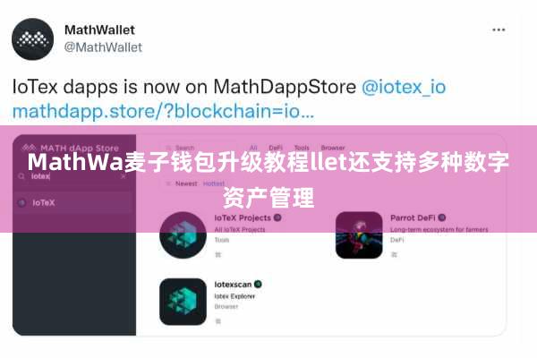 MathWa麦子钱包升级教程llet还支持多种数字资产管理
